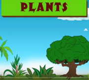 英語で植物について学べる子供向け動画