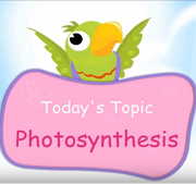 Photosynthesis in plants Animation for Kids