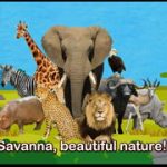 動物たちの登場する英語アニメソング