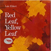 英語絵本「Red Leaf, Yellow Leaf」