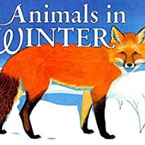 英語絵本「Animals in Winter」冬を越す動物たち