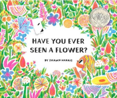 美しいイラストと詩的な言葉で魅せる！「Have You Ever Seen a Flower?」で親子英語学習